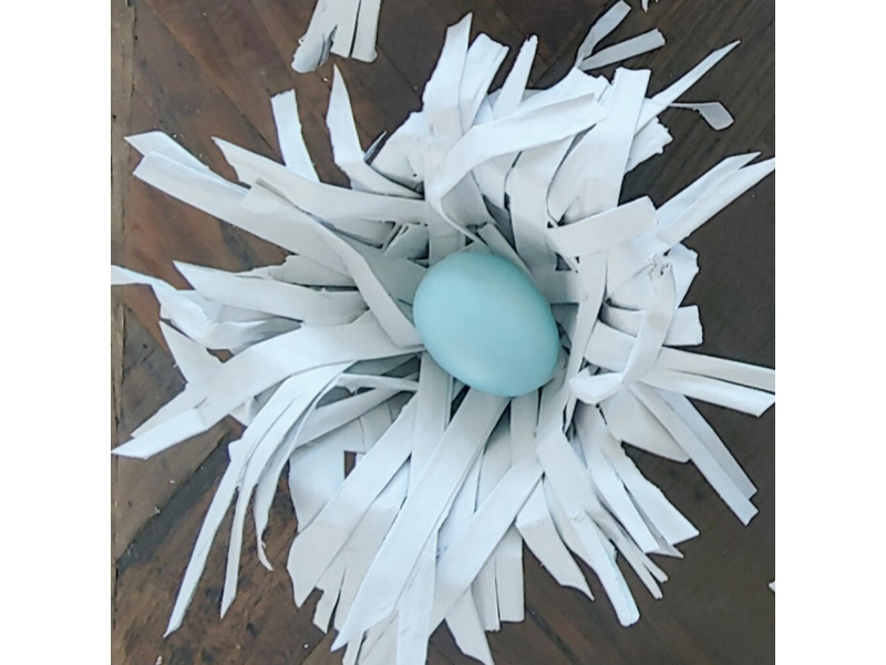 Bird's Nest (Sculpture)